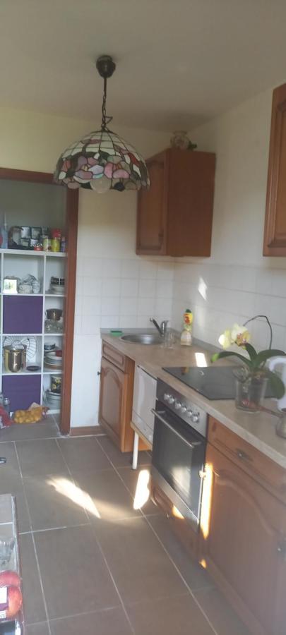 סארברוקן Gruene Stadtwohnung מראה חיצוני תמונה